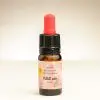 Fläschchen Vollspektrum CBD-Öl 5,65%