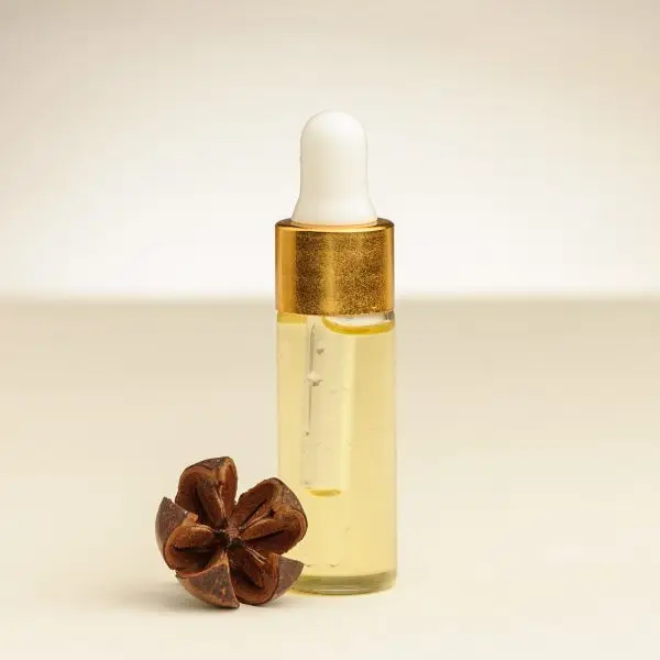 Eine 10 ml Flasche Arganöl, hergestellt mit dem Stein