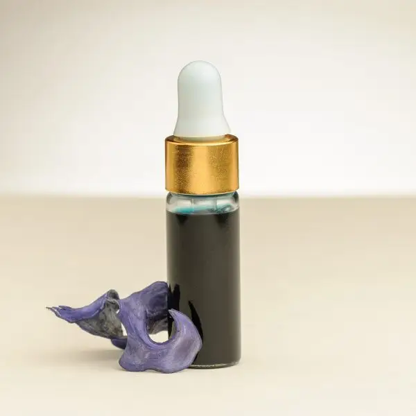 4 ml Fläschchen ätherisches Blue Tansy Öl neben einer getrockneten Blue Tansy Blüte