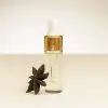 4 ml Fläschchen ätherisches Sternanis-Öl neben einer Sternanis Frucht