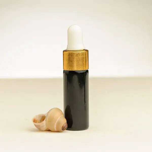Fläschchen mit ätherischem Seetangöl zu 4 ml neben einer Muschel